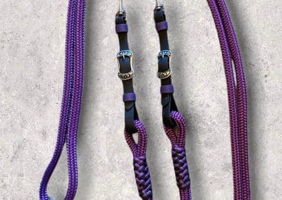 purple reins