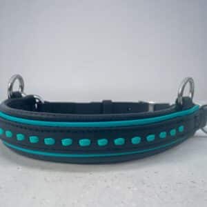 Close-up of a black dog collar with turquoise stitching and metal D-rings on a light surface.