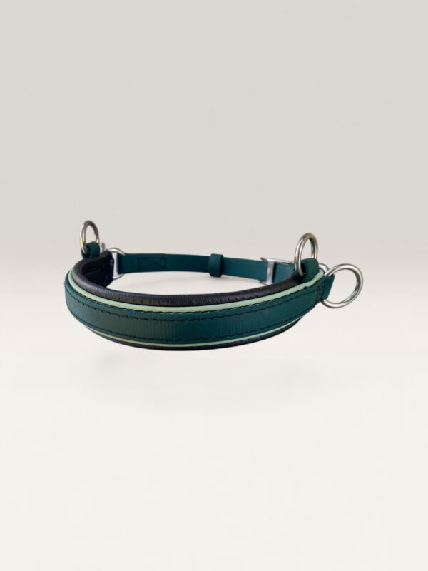 PlainSPAttach | Madtack Teal leather dog collar with silver metal rings resting on a white surface.