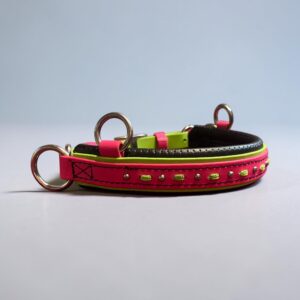 Close-up of a colorful pet collar with metal rings and bright pink and lime green straps.